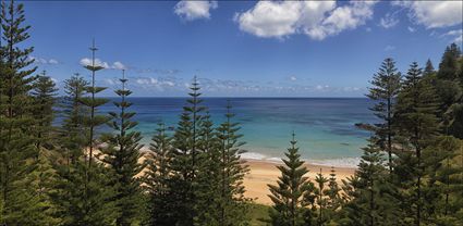 Anson Bay - Norfolk Island - NSW T (PBH4 00 12133)